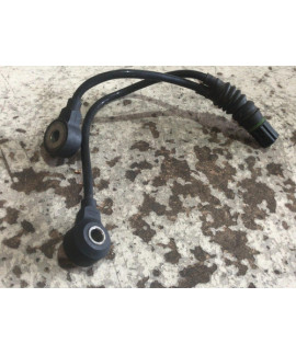 Sensor Detonação Bmw X1 2.0  2010 - 2012 / 756842201