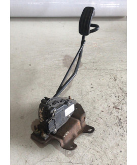 Pedal Acelerador Peugeot 206 307 C4 2004