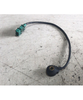 Sensor De Detonação Peugeot 406 2.0 16v /  0261231130