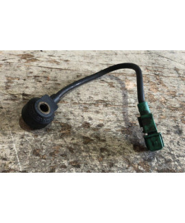 Sensor Detonação Peugeot 306 1993 - 2001 / 0261231109